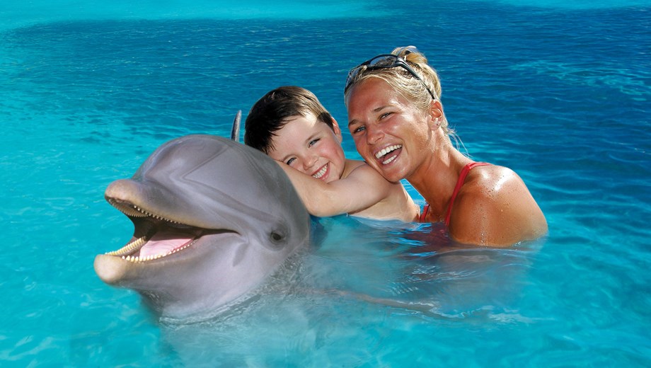 Dolphin encounter