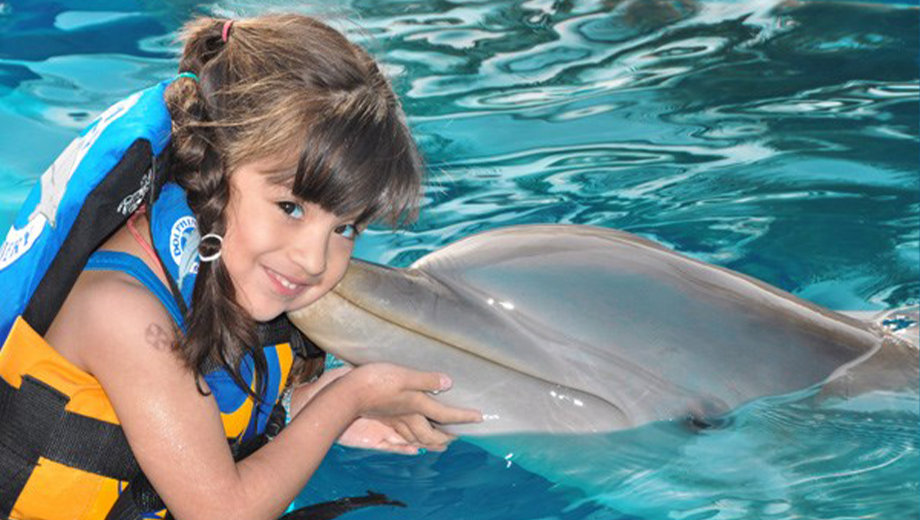 Dolphin Encounter
